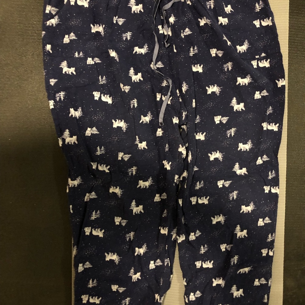 Women's Sonoma flannel sleep pants like new